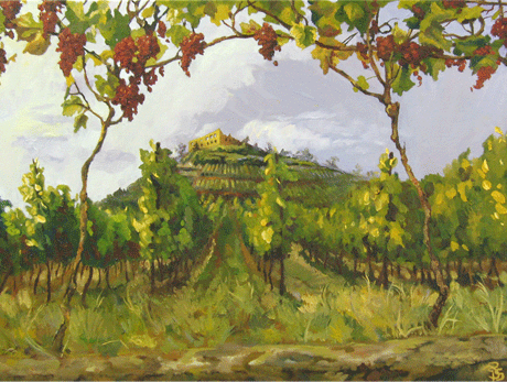 Square Grapes